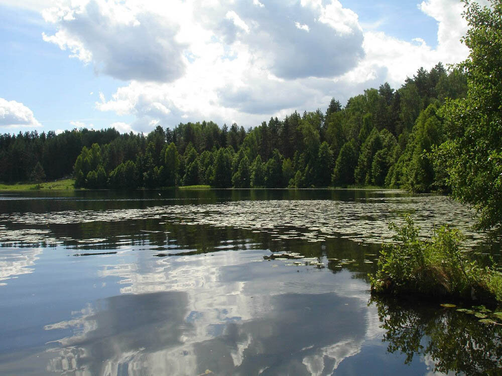 Озеро Светлояр. Фото из открытых источников