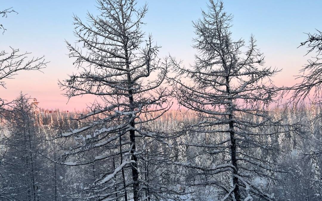 Администрация Салехарда📷
