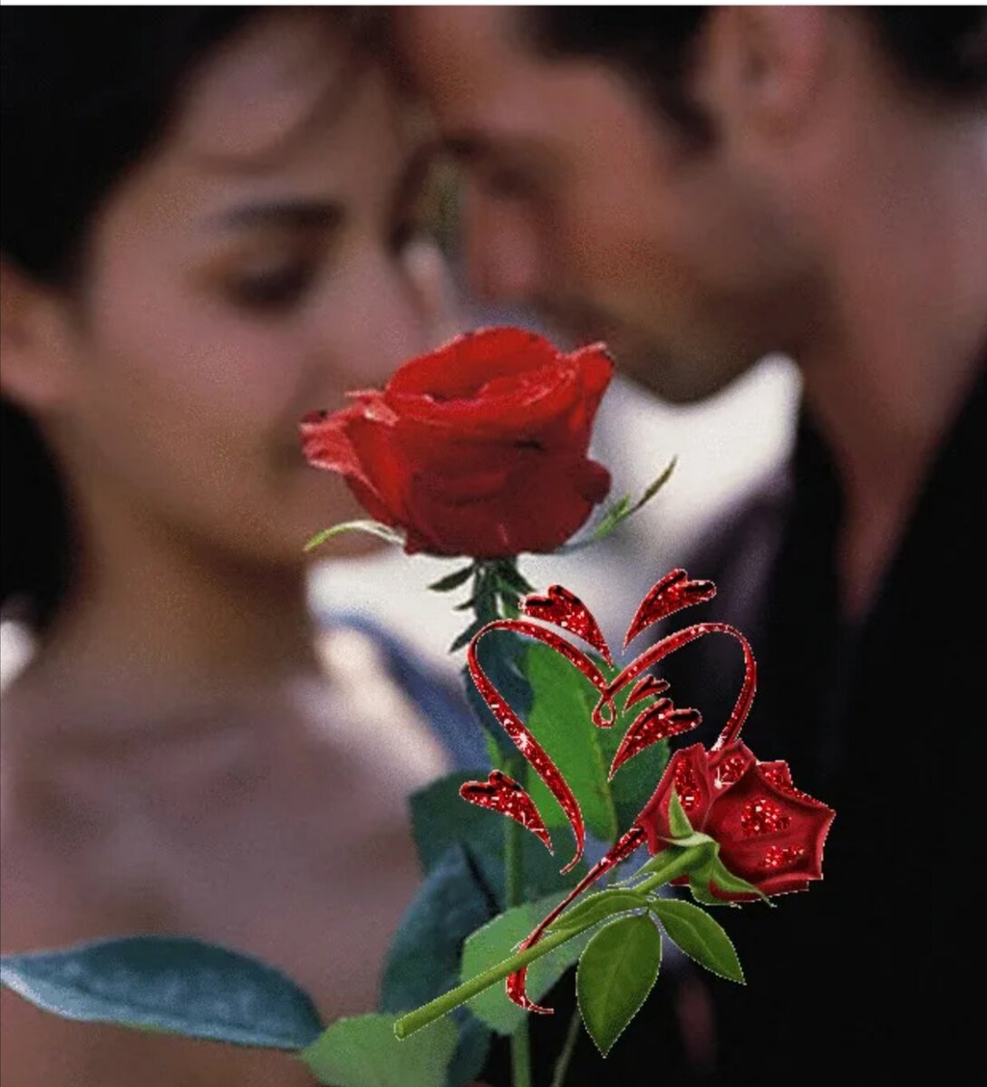 Rose romance. "Цветы любви". Романтические цветы. Парень дарит цветы.
