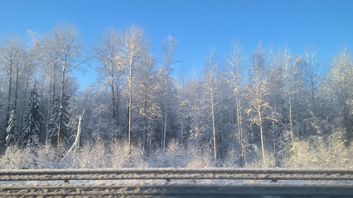 -30 С°