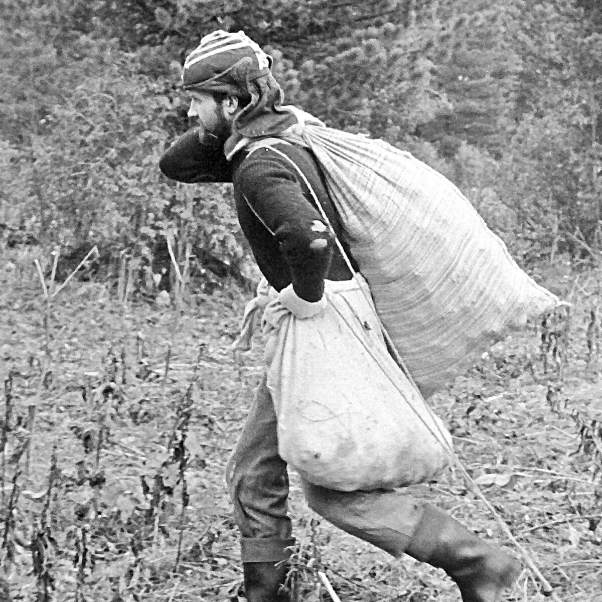 В Горный Алтай за кедровой шишкой. Чёрно-белая история из советской эпохи.  Чойский район республики Алтай. | Сибирь в объективе. Евгений Мухортов |  Дзен