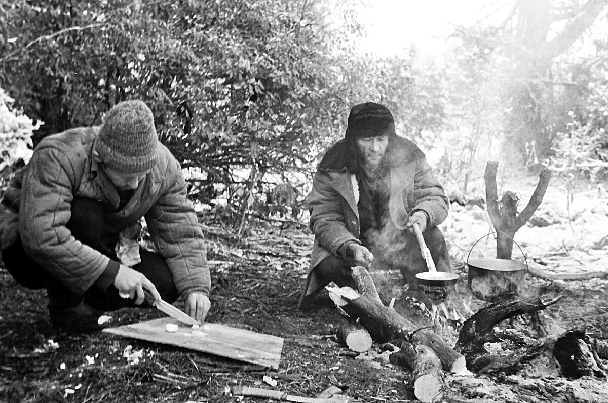 В Горный Алтай за кедровой шишкой. Чёрно-белая история из советской эпохи.  Чойский район республики Алтай. | Сибирь в объективе. Евгений Мухортов |  Дзен