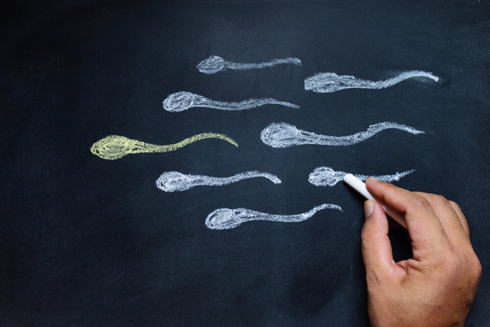 Drug-induced male infertility