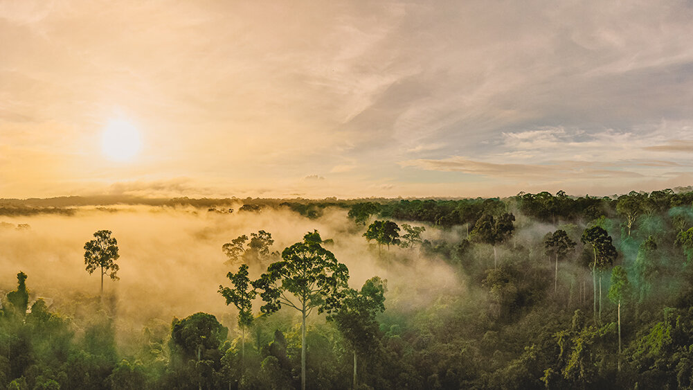    Фото: Shutterstock