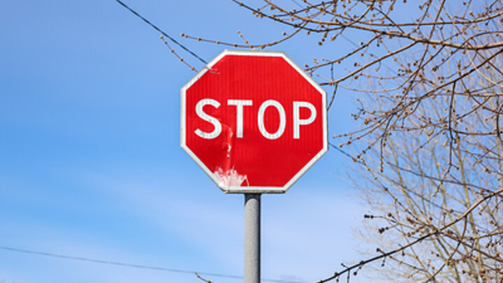 ФОТО: ФОТО: ELENA MAYOROVA/GLOBALLOOKPRES