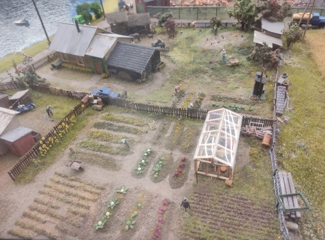 Парники, капуста и сельские труженики.