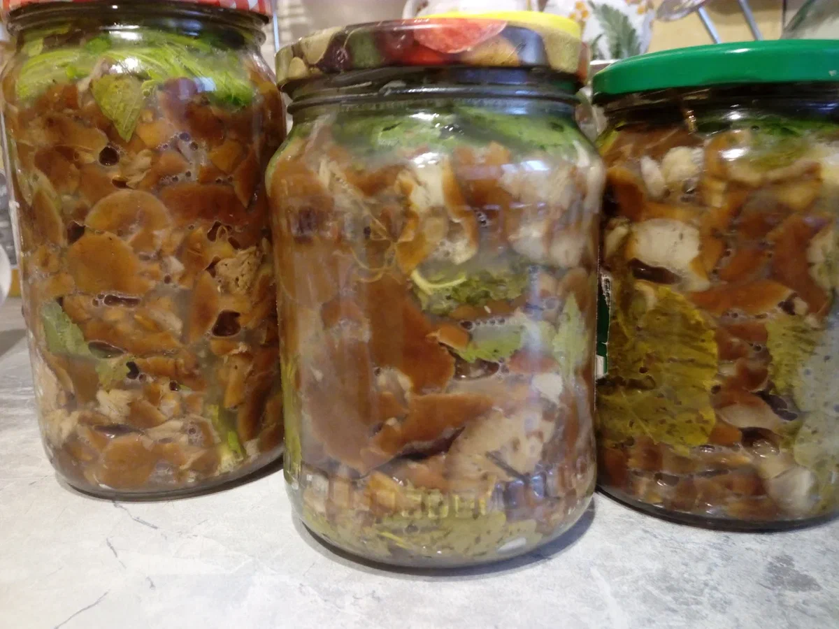 Соленые грибы