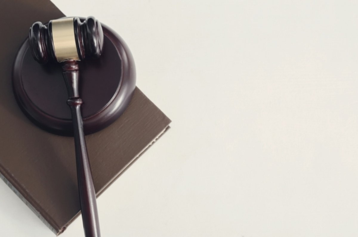    Суд не стал смягчать наказание блогеру Пыжу, осужденному по делу о гостайне