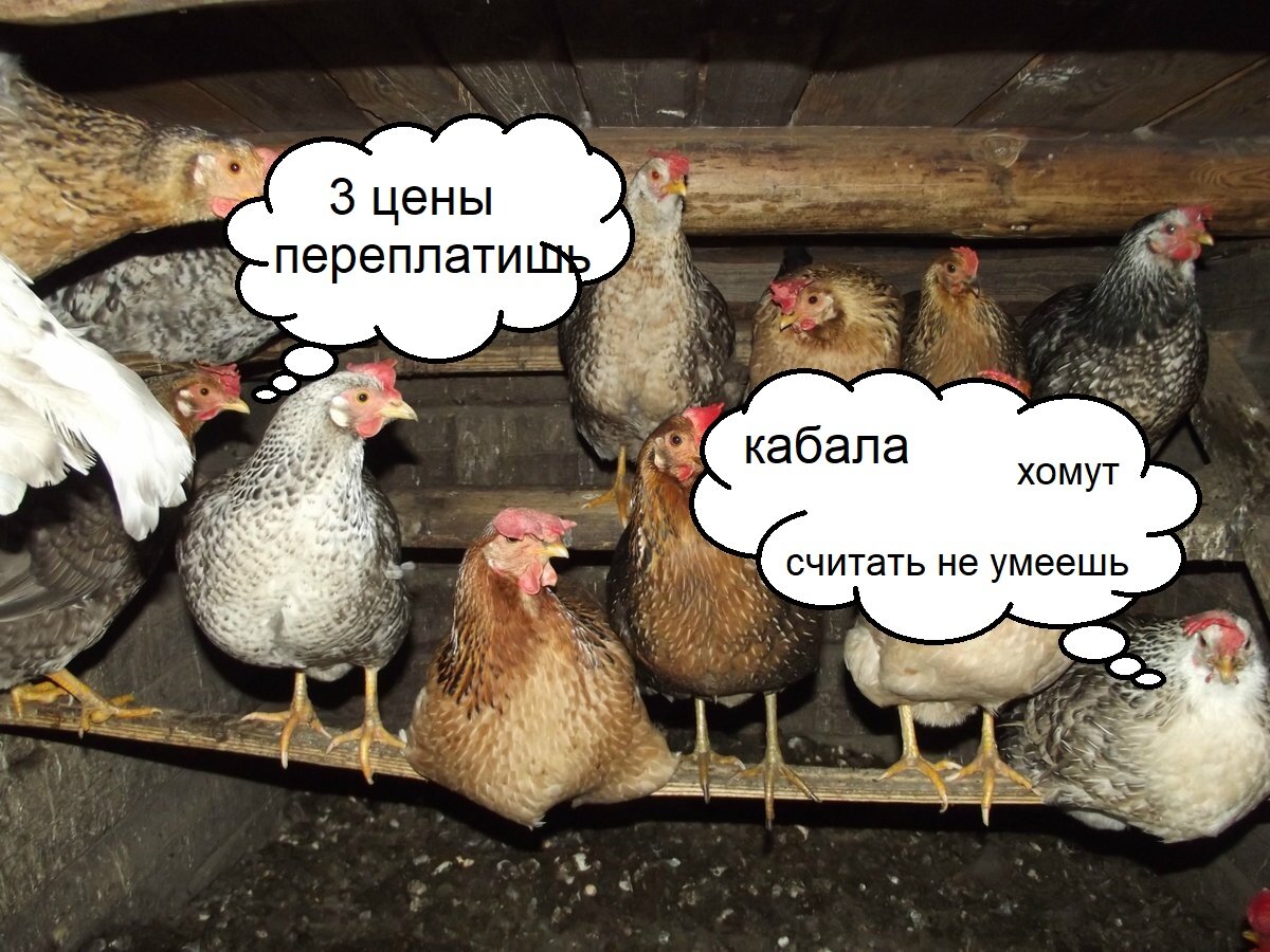 классический сюжет