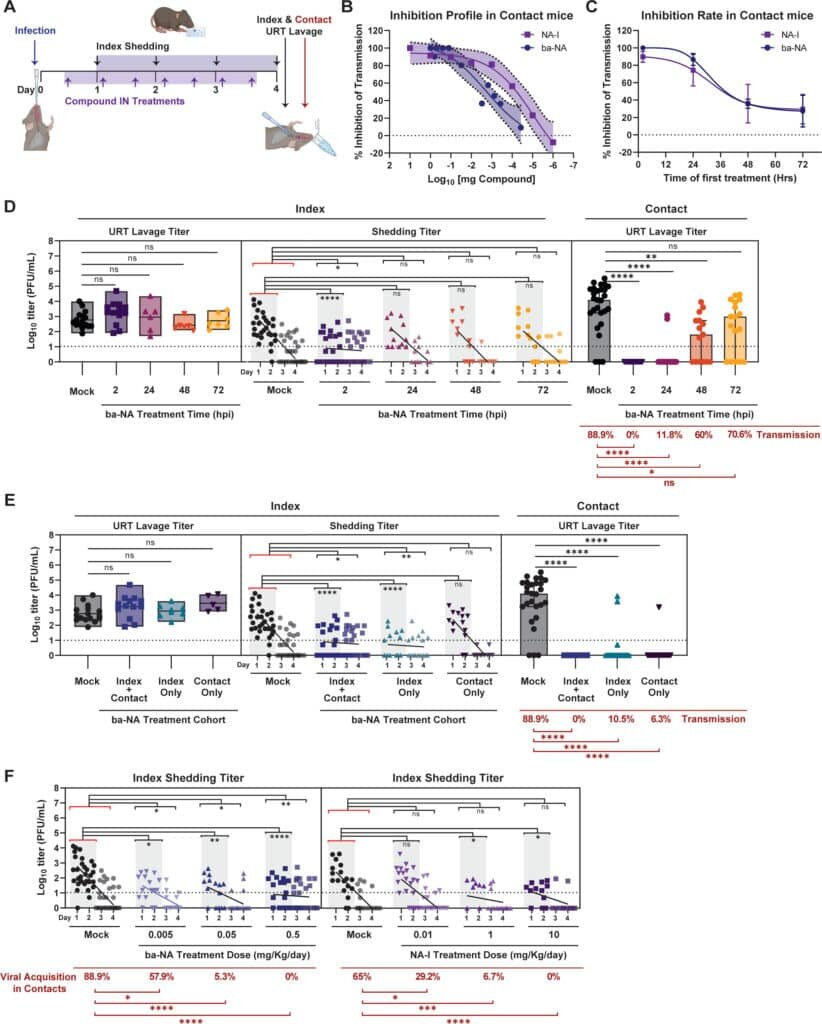    Визуализация эксперимента — нейраминидаза подавляет передачу вируса гриппа in vivo. / © Mila B. Ortigoza et al.