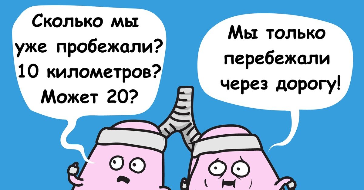 Ну что, все уже начали с понедельника заниматься спортом? Как минимум 2 понедельника года уже прошло, а значит, пора браться за дело (если вы еще не взялись).-3