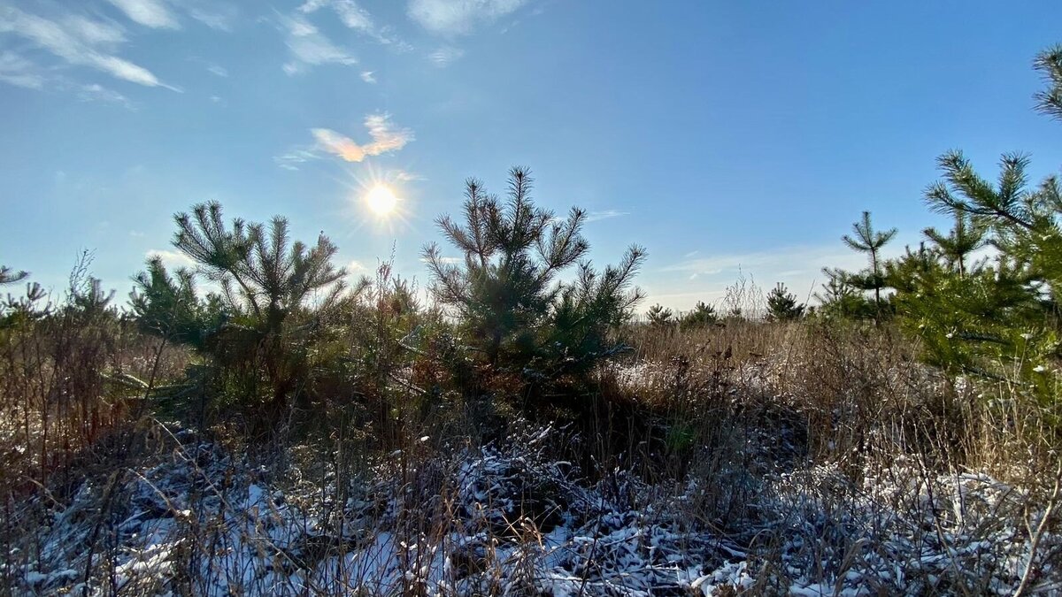    13 января в Курской области прогнозируют до 25 градусов мороза