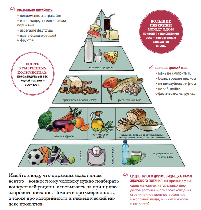 Питание здорового человека должно быть. Пирамида правильного питания. Рацион здорового питания. Принципы здорового питания. Рацион правильного питания пирамида.