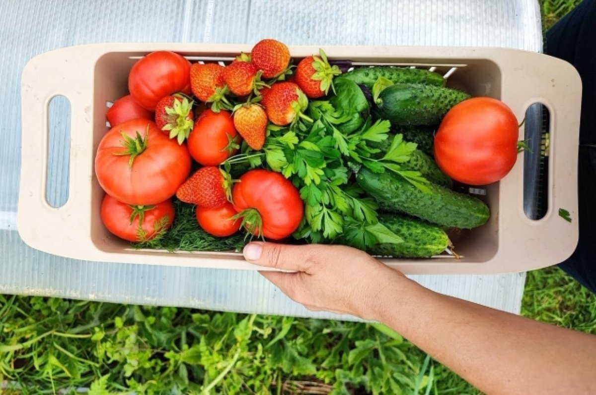    Диетолог назвал томичам продукты, которые наладят работу ЖКТ