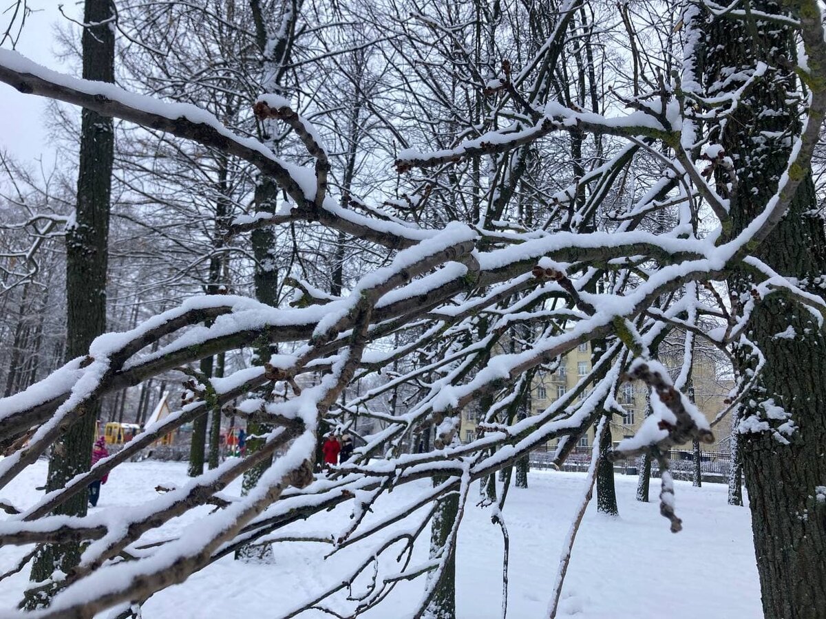 © Форпост Северо-Запад