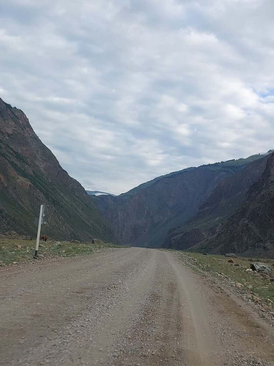 Фото на так себе телефон, но звонки с фотоаппарата-ещё хуже