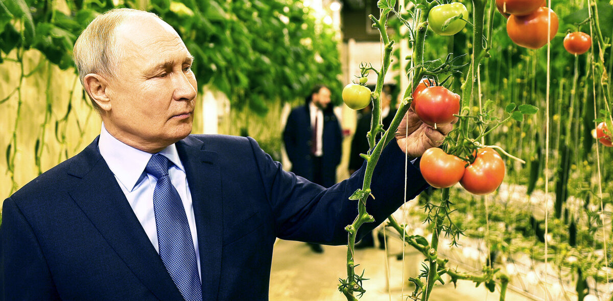 Фото: Гавриил Григоров/ТАСС