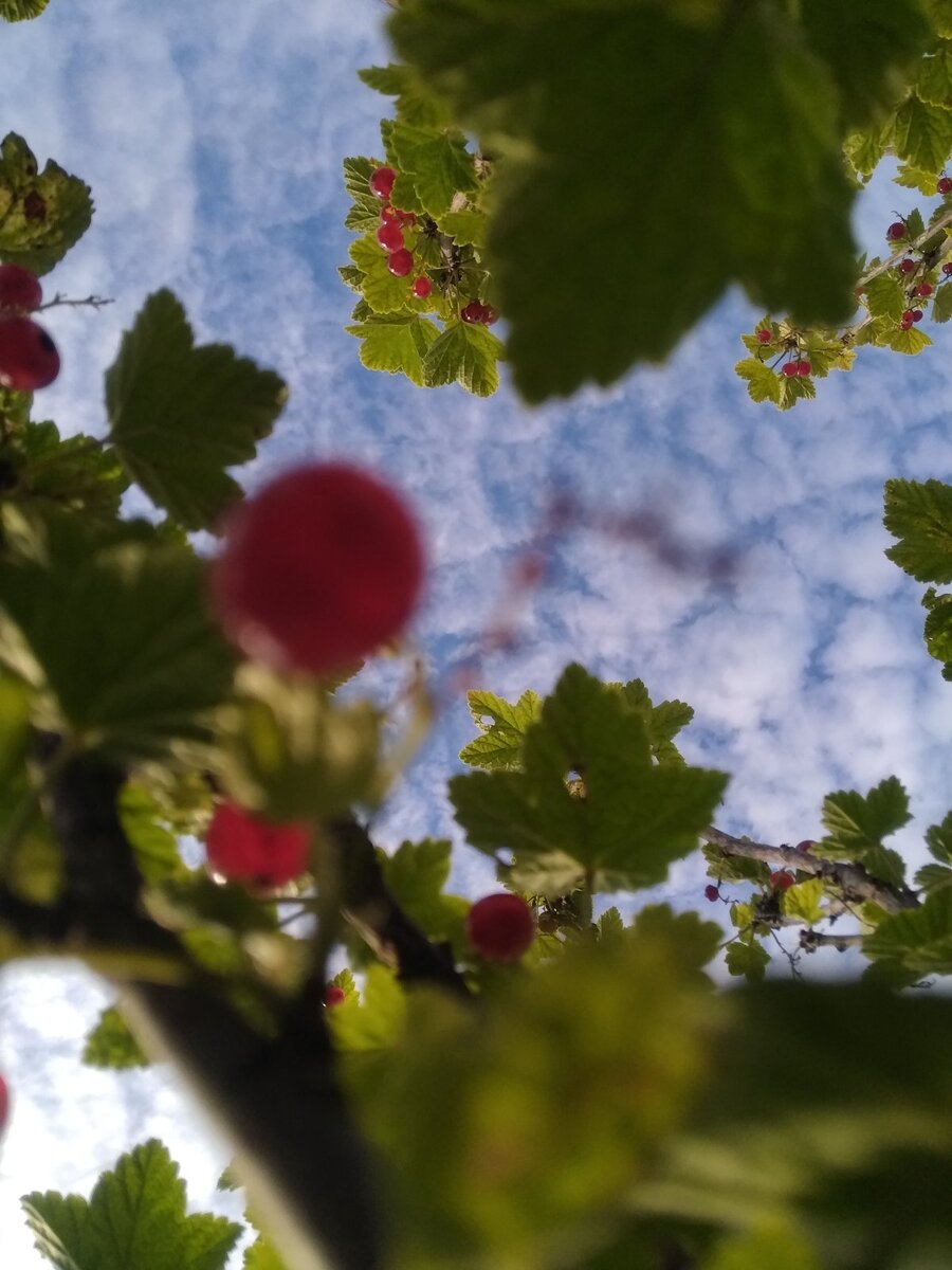 Чистого вам неба.. Фото автора.. 