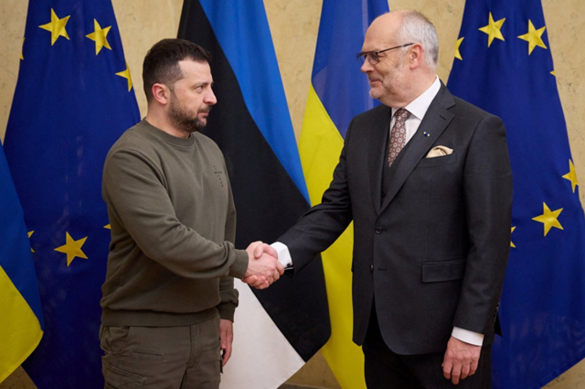    Президент Эстонии Алар Карис (справа) и президент Украины Владимир Зеленский.