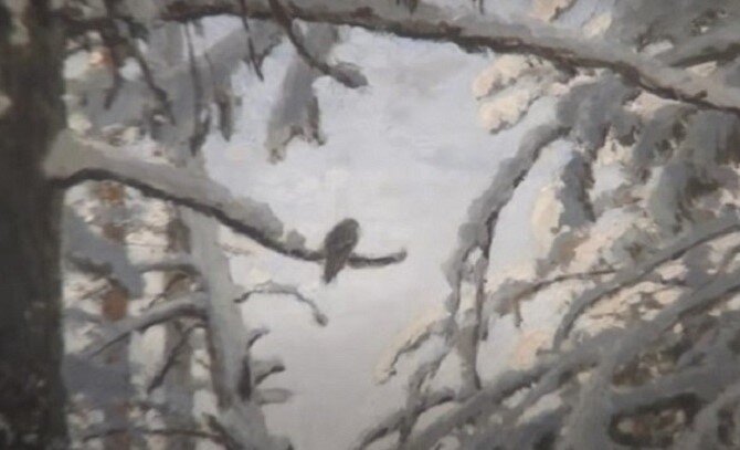 Фрагмент картины Ивана Шишкина «Зима»