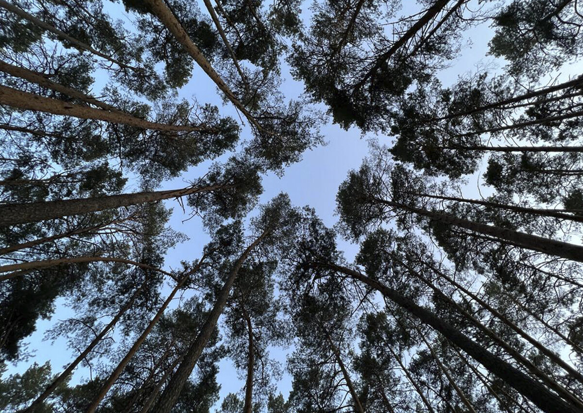 Фото: Московские Ведомости