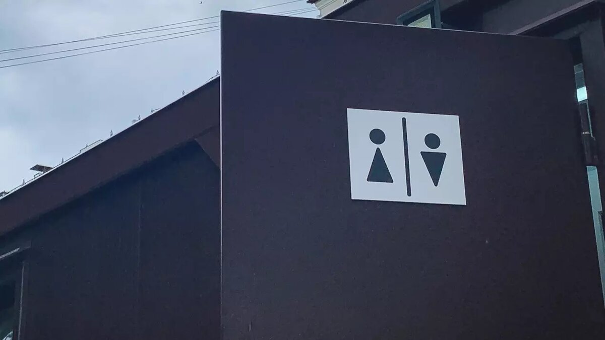     Власти Казани хотят устроить туалетный модуль под Кремлевской дамбой. На эти цели выделяется 11,4 млн рублей. Соответствующая информация размещена на портале госзакупок.