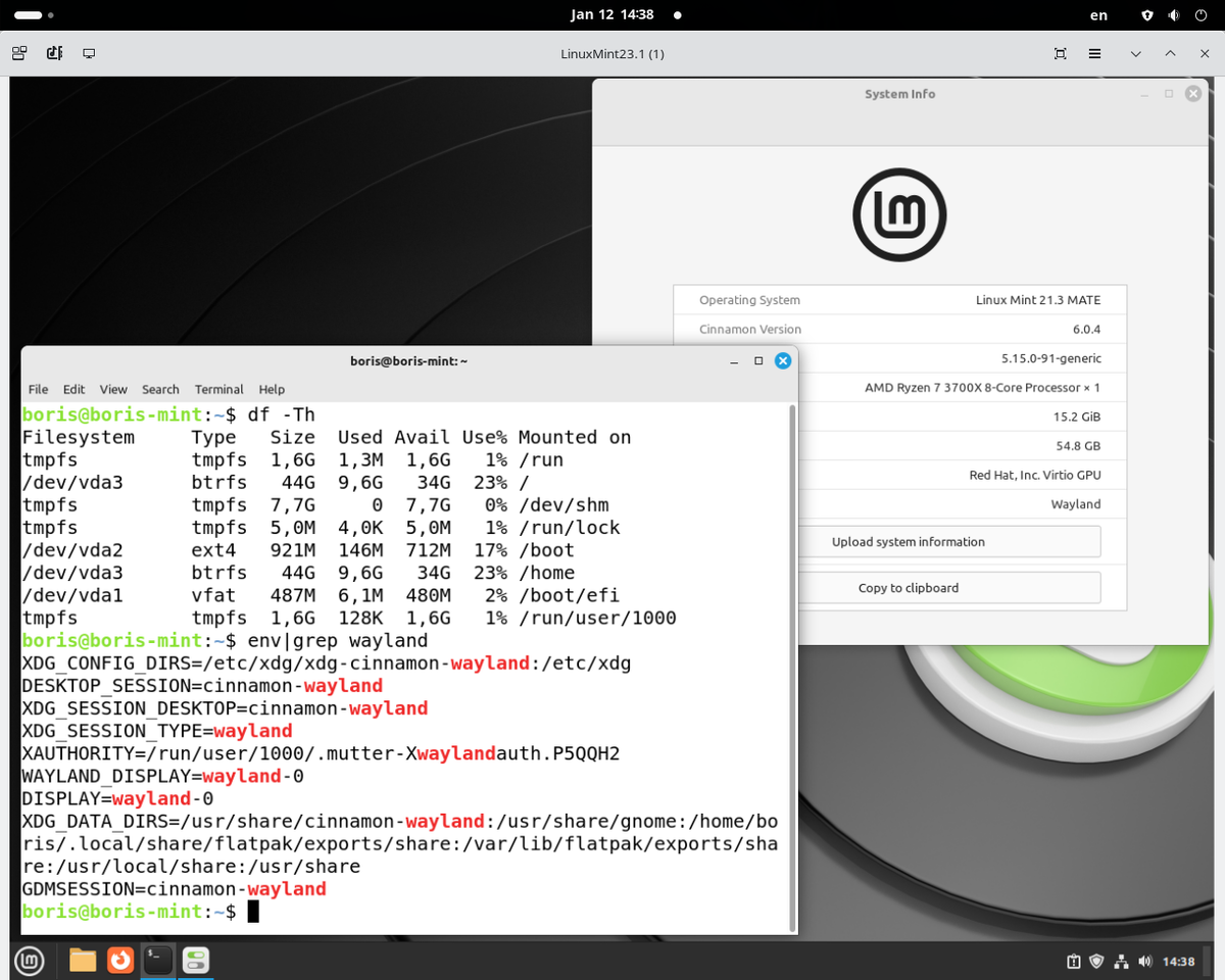 Instance Linux Mint 21.3 has been deployed 1