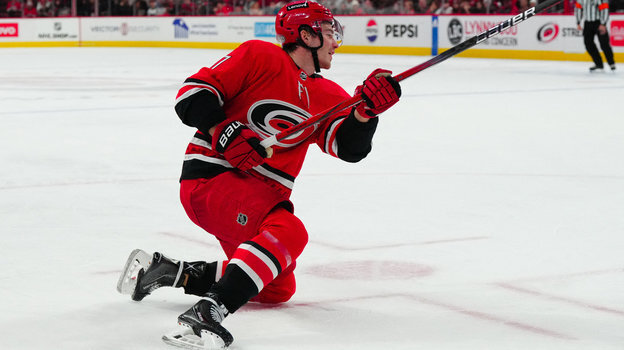    Андрей Свечников. USA Today Sports