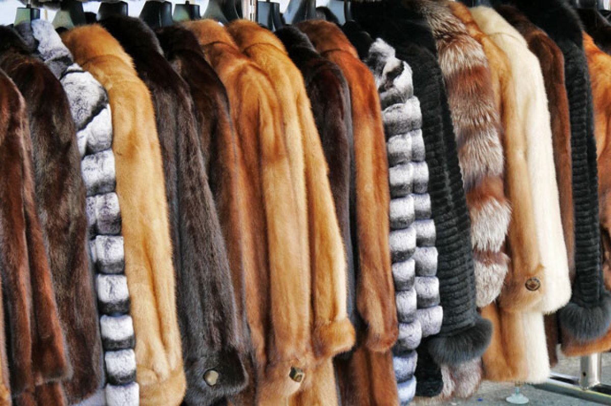    Власти Саратова не подтвердили информацию о запрете на шубы для чиновников