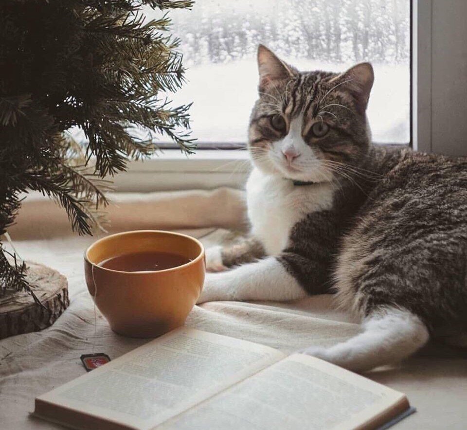 Изображение с сайта pinterest.com
