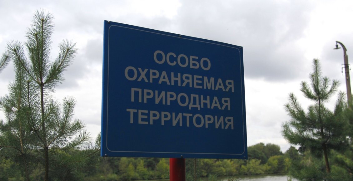    Фото: из открытых источников