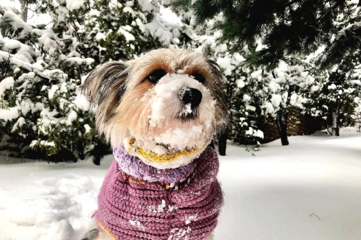    Ведущий синоптик Забайкалья рассказала, какая погода будет 13 и 14 января