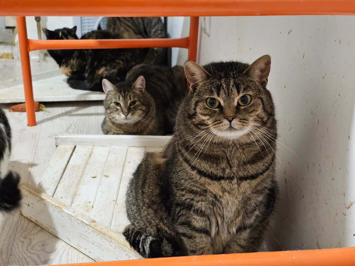 Фото автора. Марта.