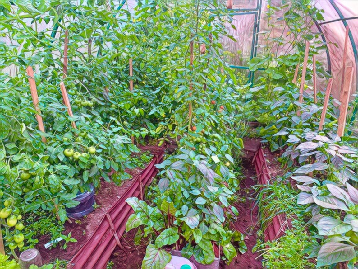 Люди стихии Земли - дачники-отличники