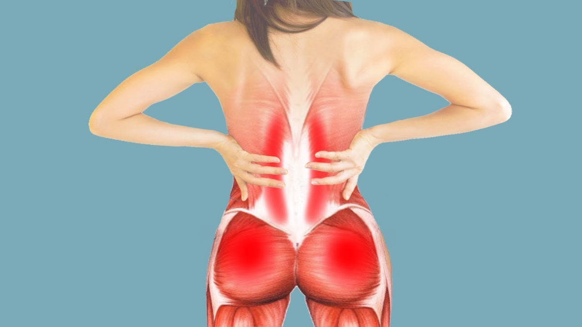 Болит спина отдает в ягодицу. Миофасциальный синдром подвздошная мышца. Триггерные точки подвздошно поясничная. Подвздошная мышца иррадиация боли. Подвздошно-поясничная мышца болит.