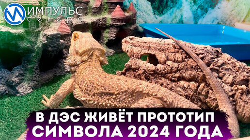 В детской экологической станции живёт прототип символа 2024 года