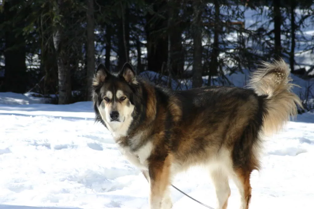 Да ладно тебе, ещё 50 км всего.  