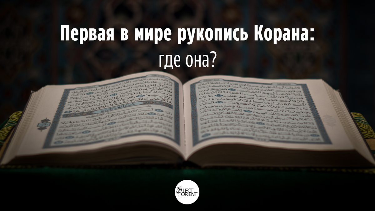 Фото взято из открытого фотостока Canva