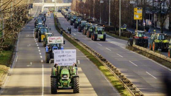    Посол в Германии отверг обвинения в причастности Москвы к протестам фермеров Татьяна Сидорова