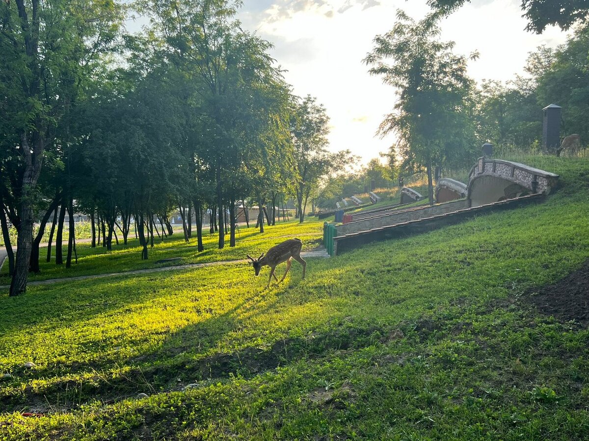 Эко-отель DeerFarm, Крымгиреевское, Ставропольский край