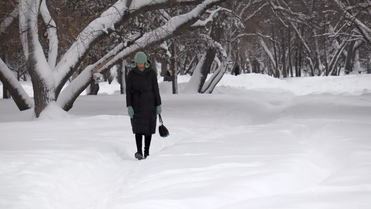     Нижегородский трихолог Татьяна Варенова предупредила, что нельзя выходить на мороз с мокрой головой и без шапки. В противном случае последствия для волос могут быть фатальными.