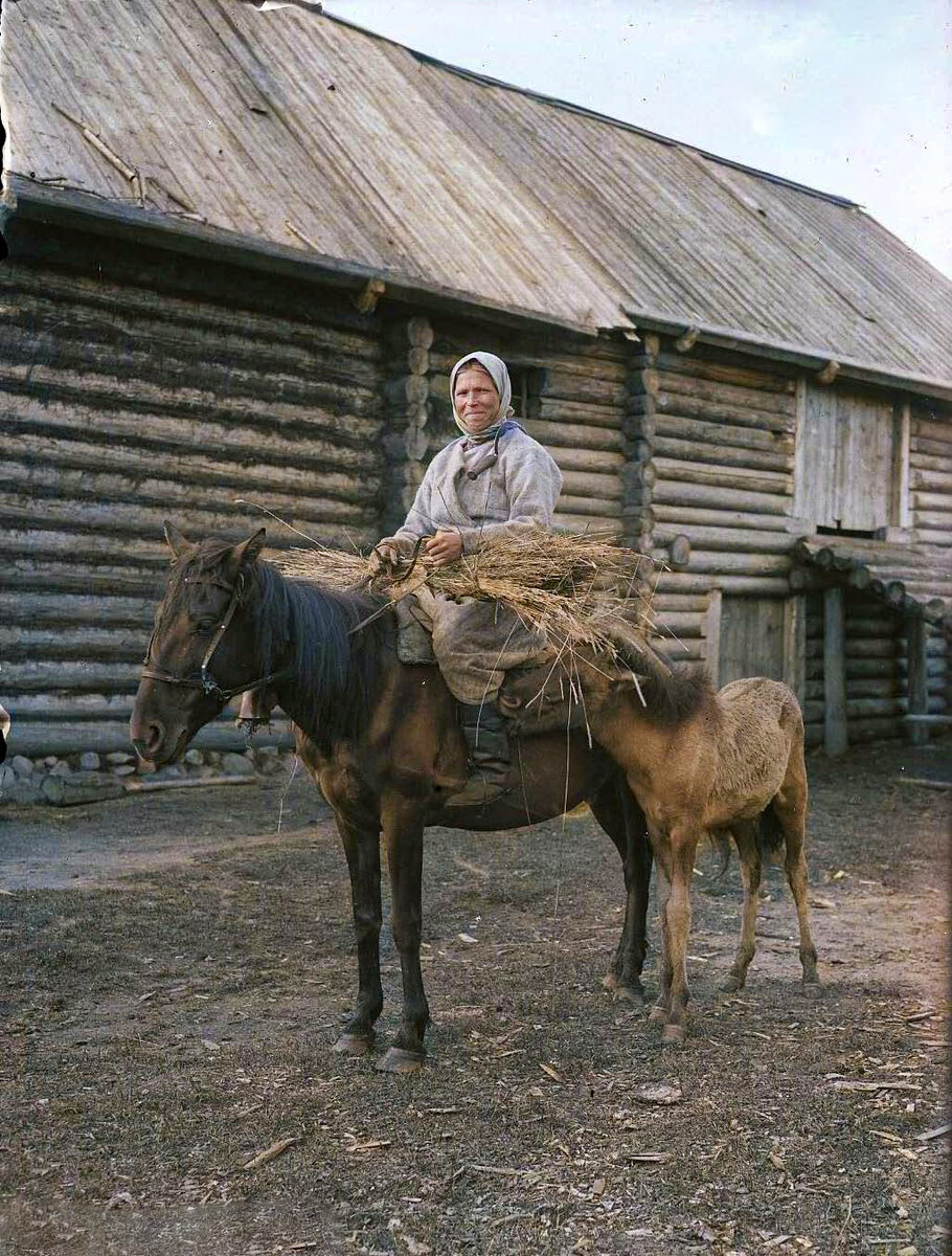 Жизнь и быт на севере страны в первой половине ХХ века. Исторические  фотографии Олонецкого уезда Карелии в цвете | BSP | Дзен