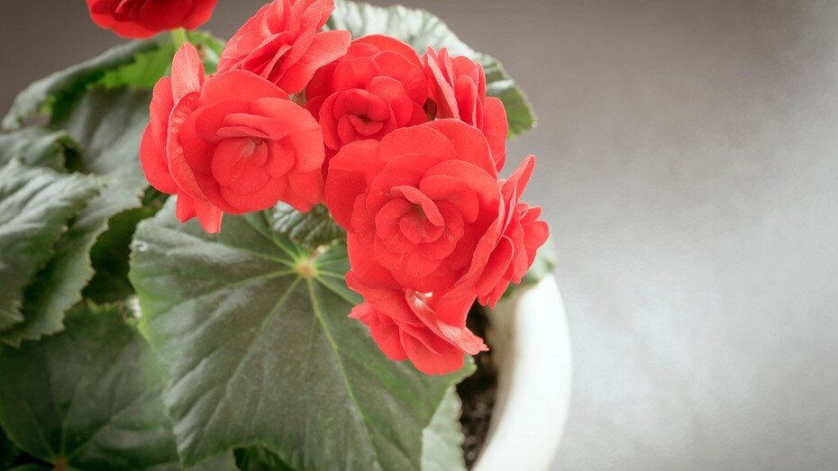 Здесь и далее: ShutterStock/Fotodom.ru