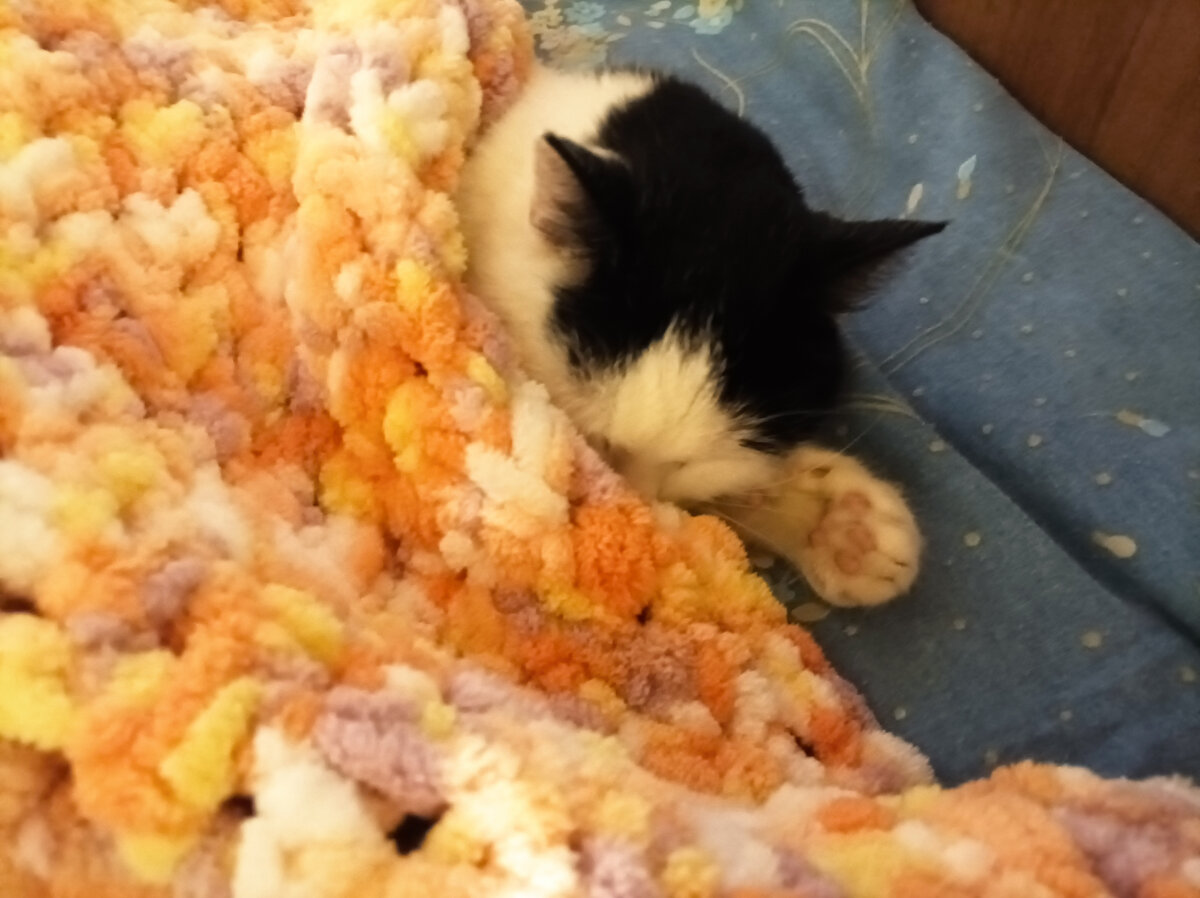 Краткое описание - "что я делал на каникулах"))) 