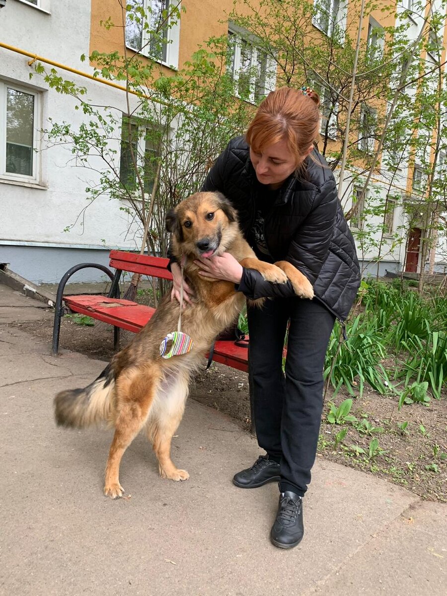 Любовь к животным неимоверно обогащает самого человека. Ольга со своей подопечной собакой из приюта, которая нашла свою семью в Германии.