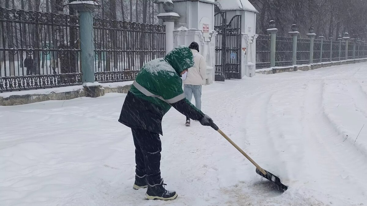 Могут ли дворники исчезнуть из Нижегородской области | newsnn.ru | Дзен