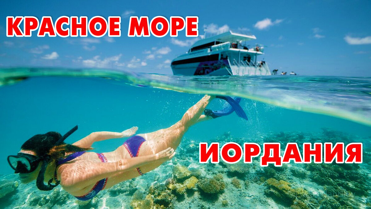 Подводный мир Красного моря
