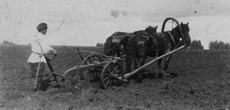 Названия наших деревень. Клин, Кроватка, Перехватка ...