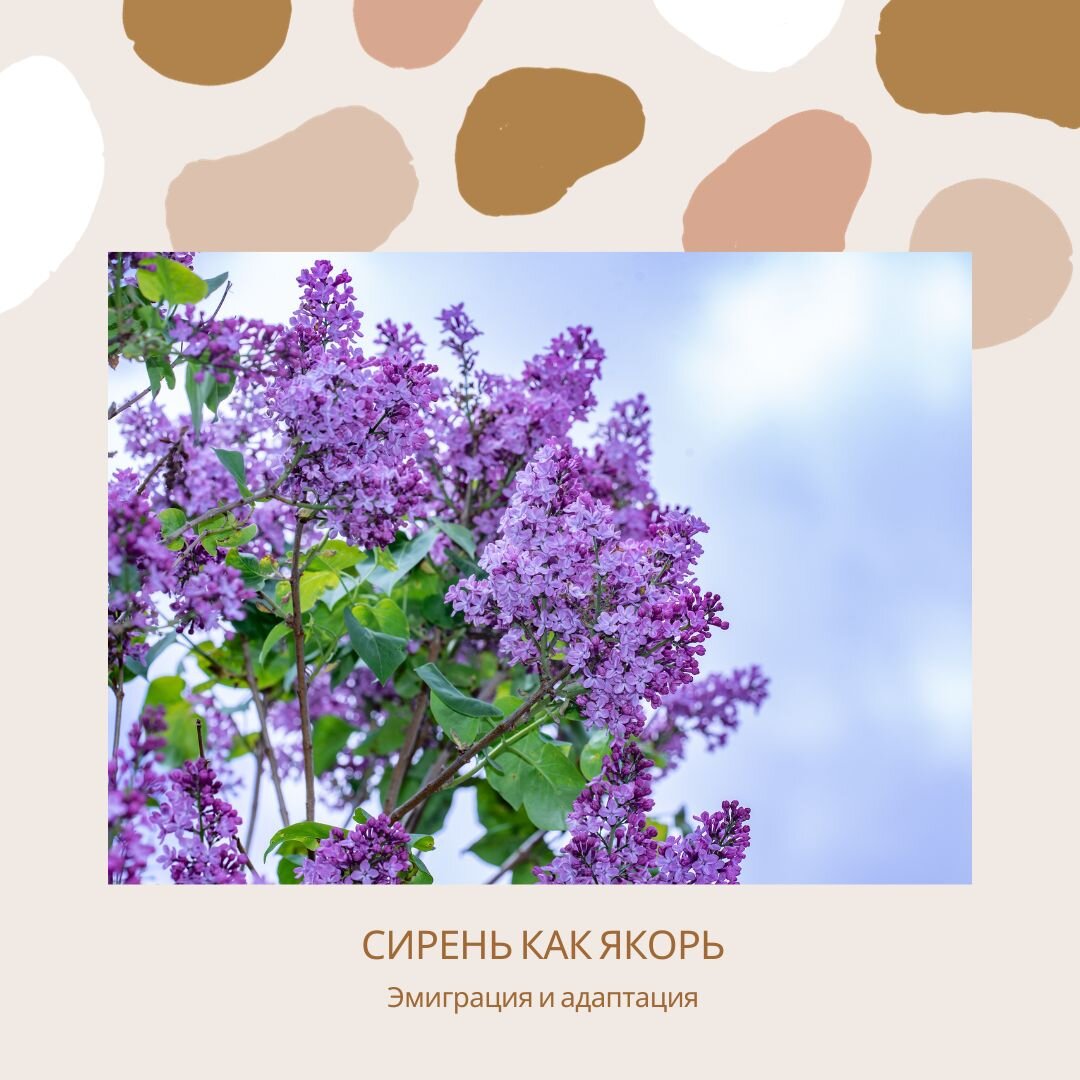 Фото: адаптация в эмиграции, психолог Екатерина Кастрицкая, консультации онлайн