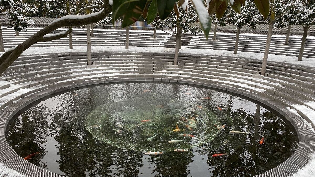    В канун Старого Нового года в Краснодаре будет морозно и ясно Фото: телеканал Краснодар